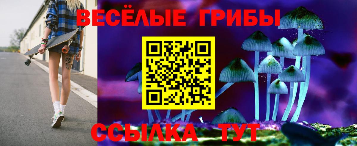 Псилоцибиновые грибы мицелий Евпатория